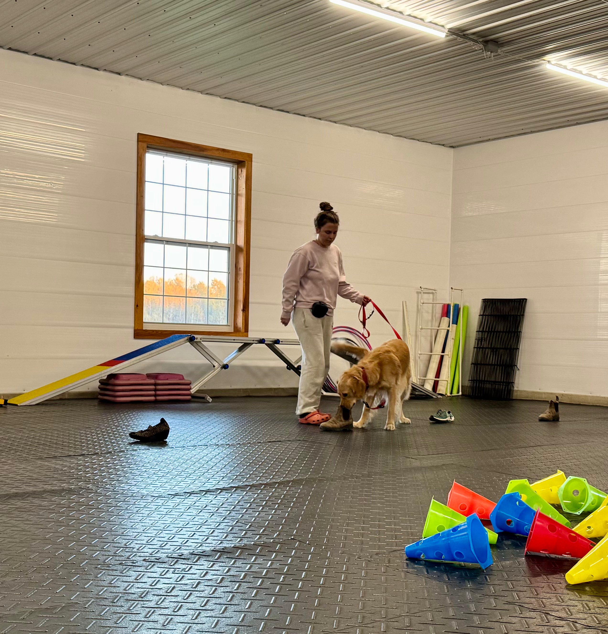 Nosework Foundations (Sun Jan 11 - 3pm)